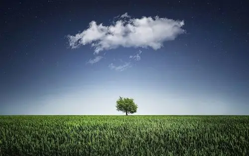 精选蓝天白云下一棵大树图片壁纸