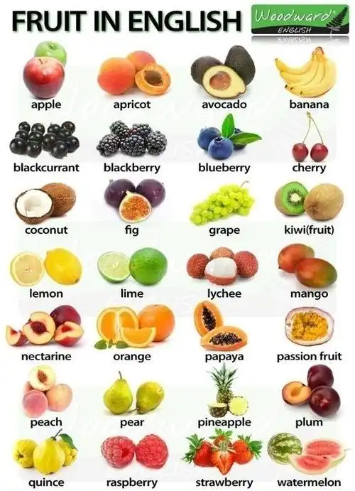 各种食物英语词汇大全