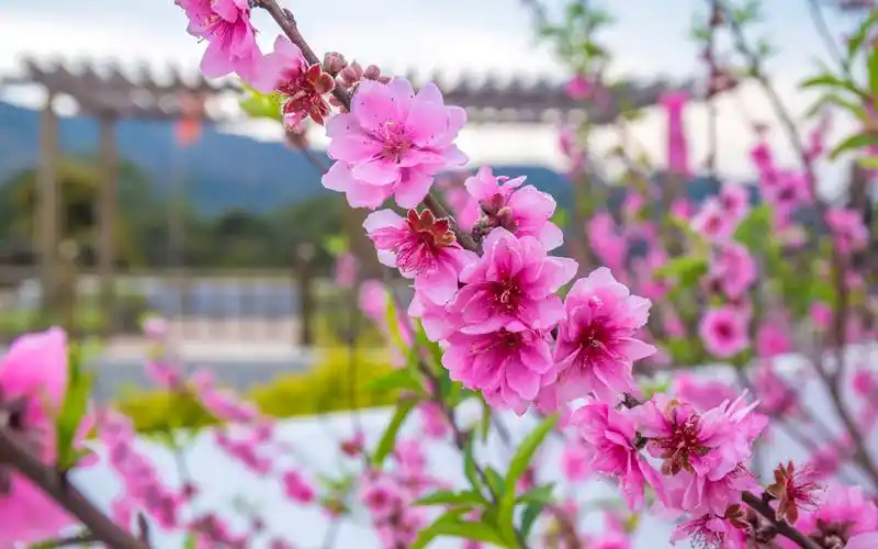 南澳山水风景集锦