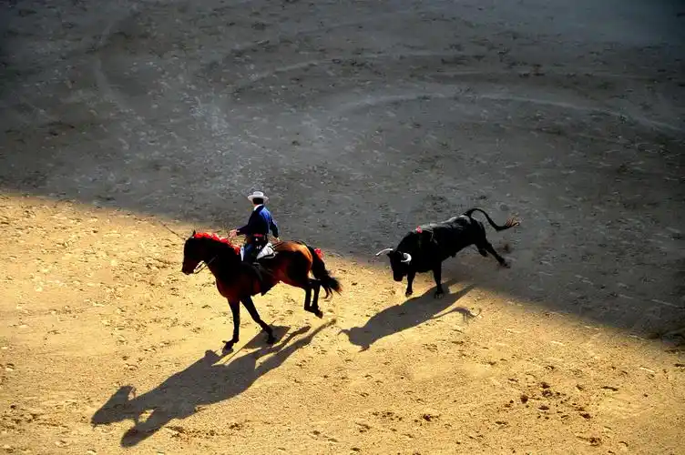 西班牙斗牛