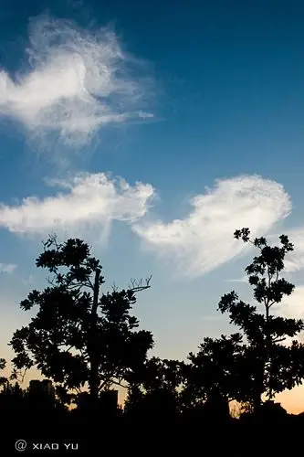 活动召集及花絮 > 正文 文竹6822011-09-24 20:38 13楼 对1楼linhaibo