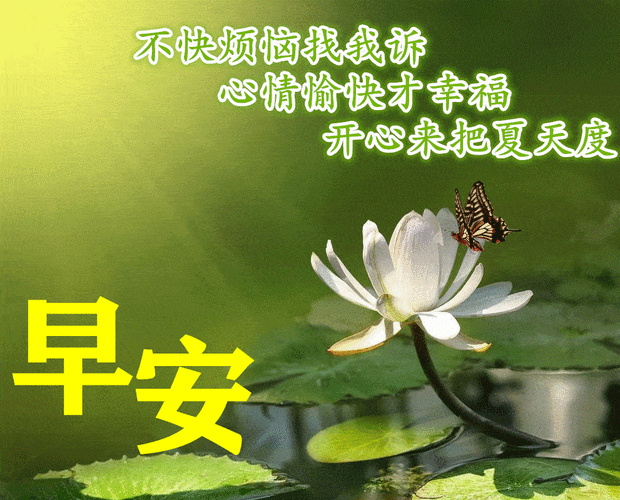 早上好动态图片表情带字和鲜花创意好看的夏日清晨早安问候语配动态