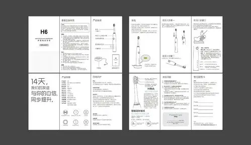 h6声波电动牙刷使用说明书