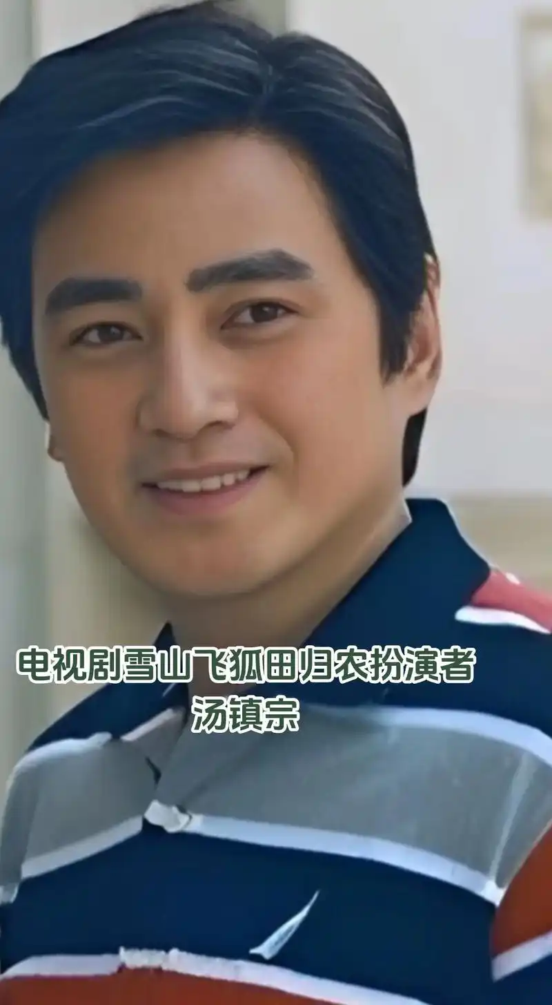 电视剧雪山飞狐田归农扮演者汤镇宗