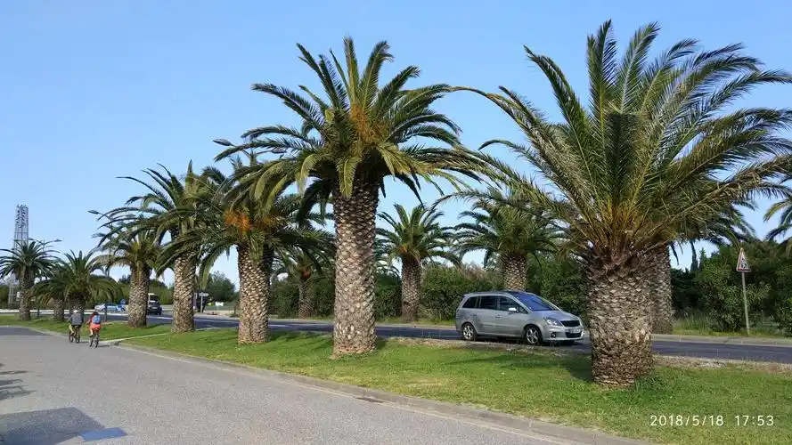 自驾游法国南部地中海沿岸及海滨浴场
