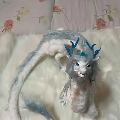 luciadracon的个人主页 - 半次元 - acg爱好者社区