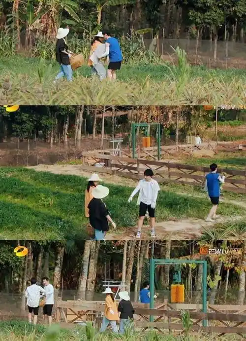 《向往的生活4》,张子枫安慰小h,郭麒麟:我这辈子不能要个姑娘_妹妹