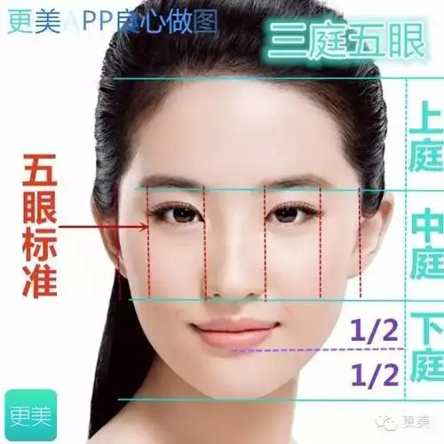 明星 明星.刘亦菲