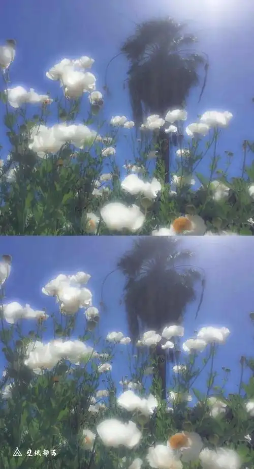 ins风超仙壁纸!不仙你亲我qwq