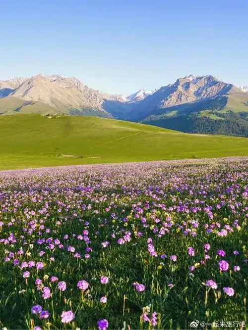 新疆旅游攻略#喀拉峻草原是一种层层叠叠的美,草原像是从天而降,醚佑