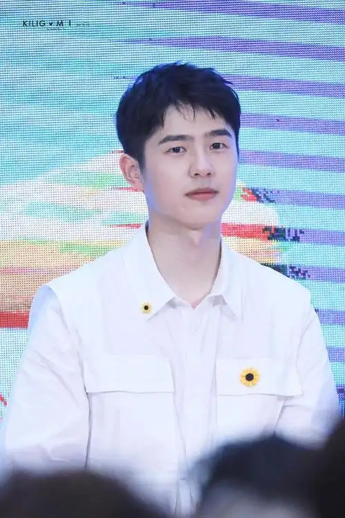 内娱顶级帅哥浓颜还是淡颜香龚俊罗云熙浓颜肖战杨洋淡颜