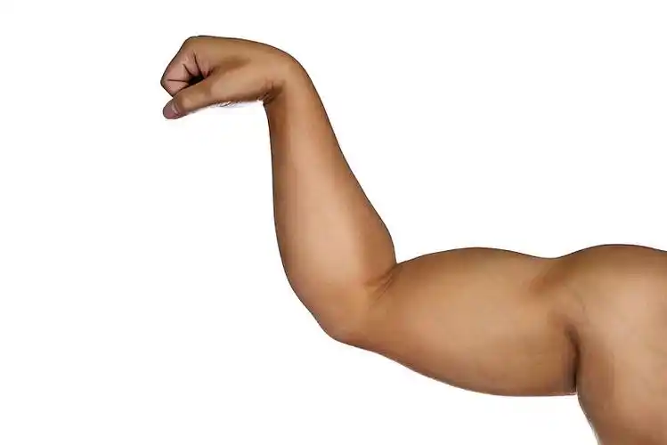 肌肉男,手臂,隔绝,白色背景,背景_高清图片_全景视觉