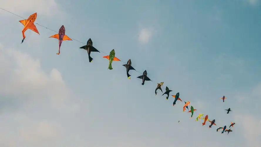 追逐风筝肆意自由小心你手中的那根线