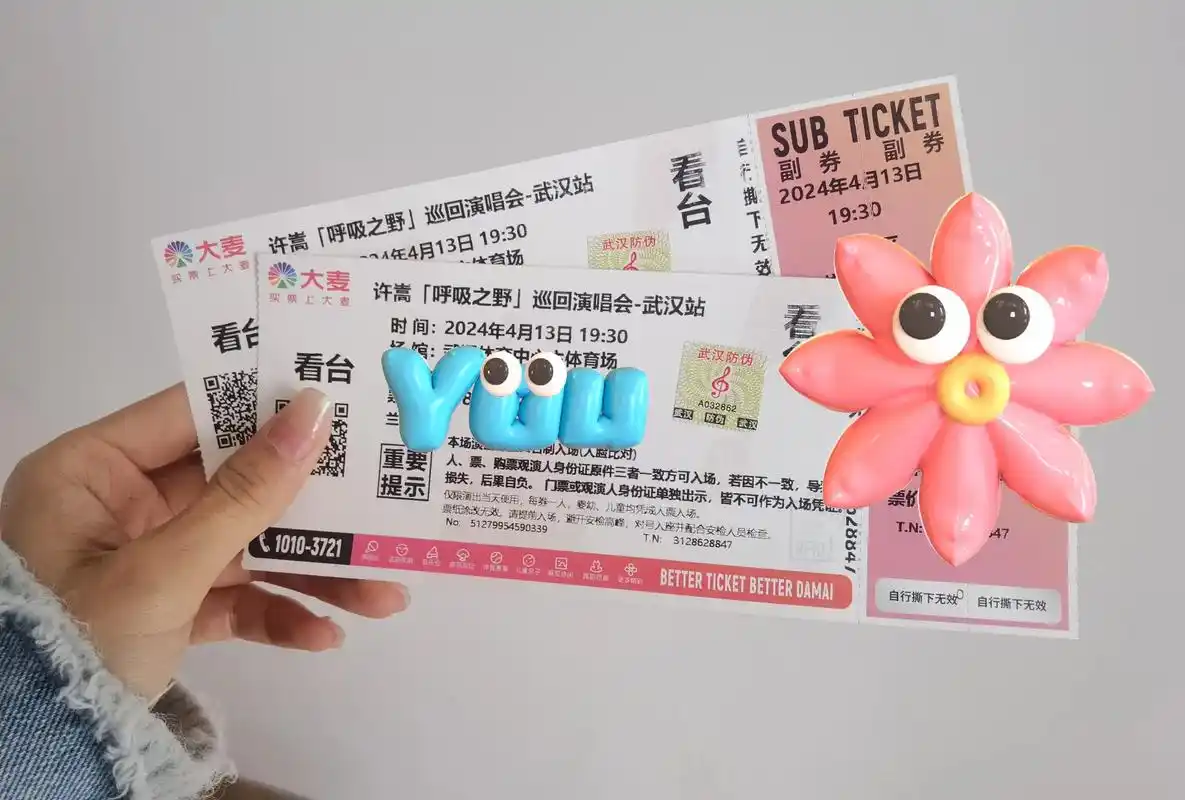 误触买了许嵩演唱会的票99本来不打算看演唱会的,但是吃完饭去洗手