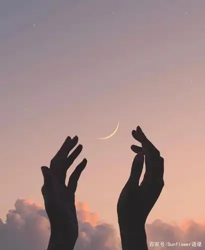 人生微语录:干净走心的句子,温暖孤独的路人