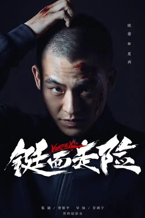 欧豪大鹏动作电影铤而走险