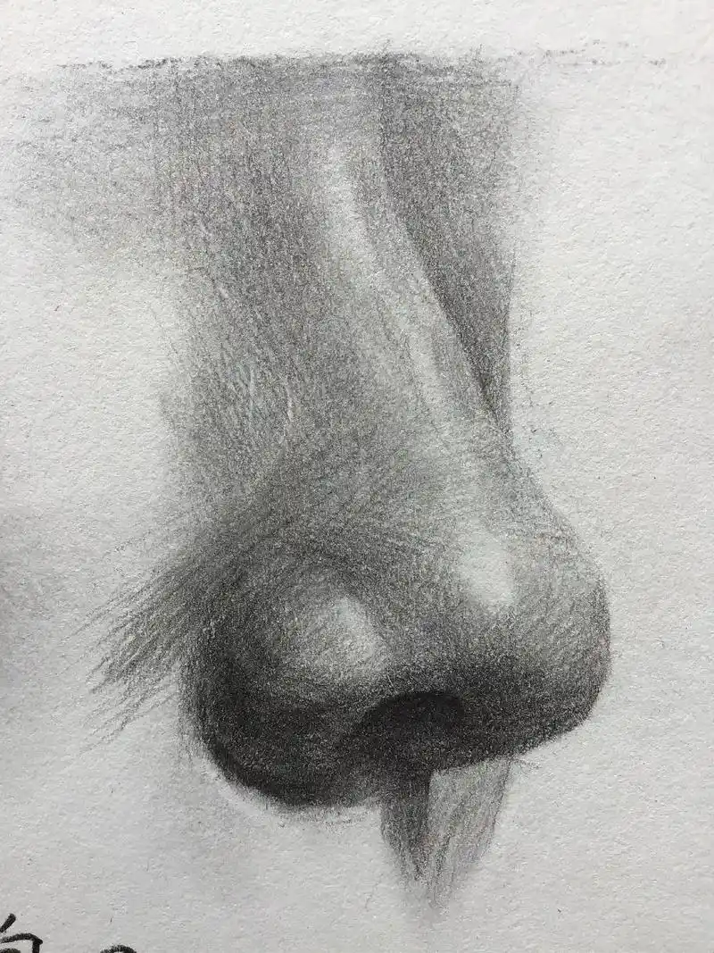 素描五官之鼻子(右侧朝向)画法,建议收藏.##画画的建森 # - 抖音