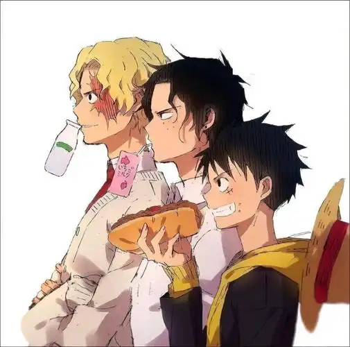 【微信头像】海贼王