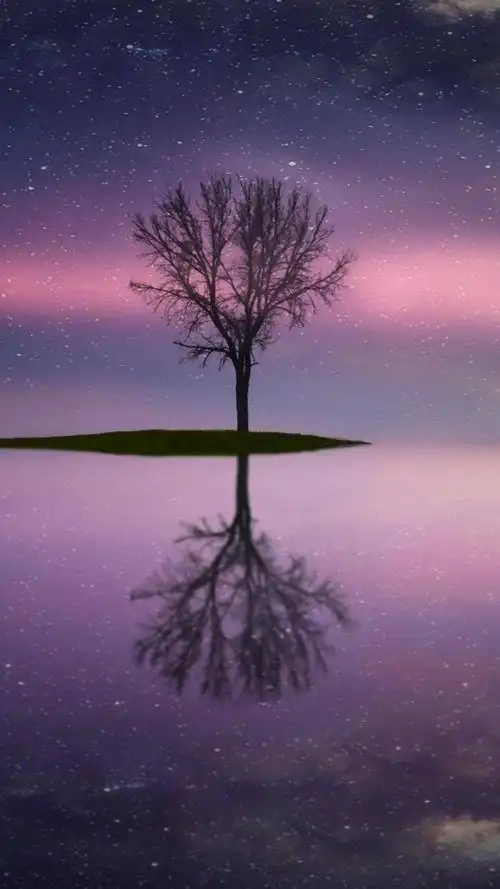 唯美树影背景,高清图片,手机锁屏桌面-壁纸族