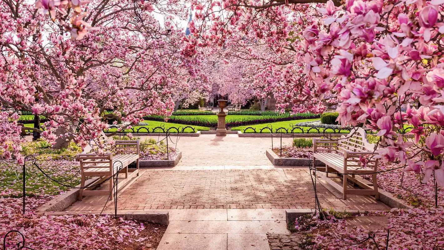 自然山水风景电脑高清图片壁纸