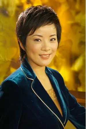 全国宣传文化系统十八大代表印海蓉简历