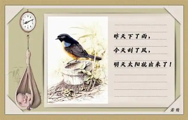 真正的涵养和品位