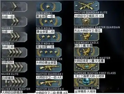 游戏水平的队友和对手——csgo段位系统就是为了解决这个问题而设计的