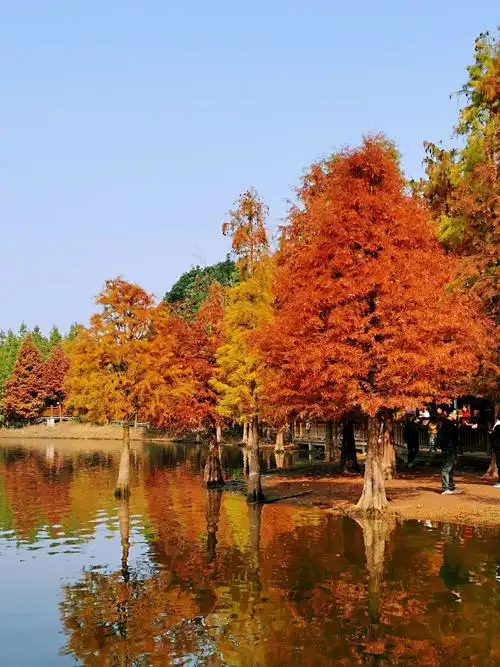 实拍,德阳东湖公园风景