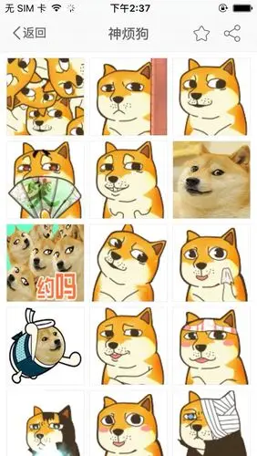 求doge狗表情包