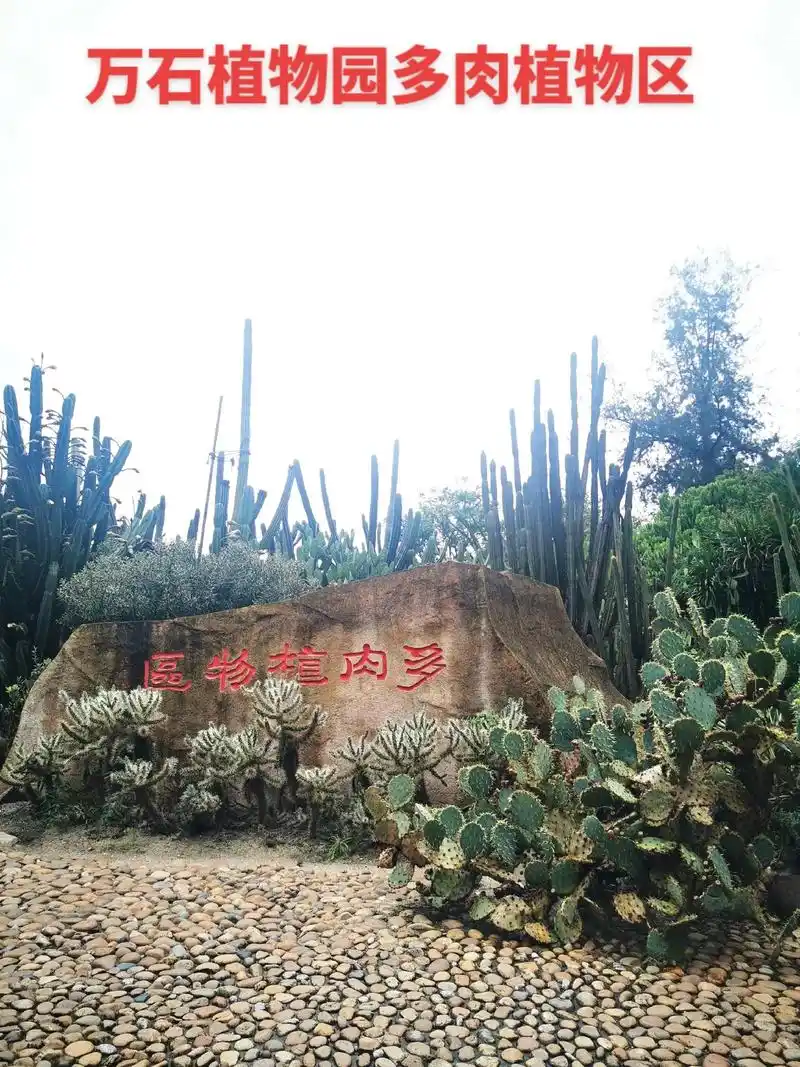 万石植物园多肉植物区