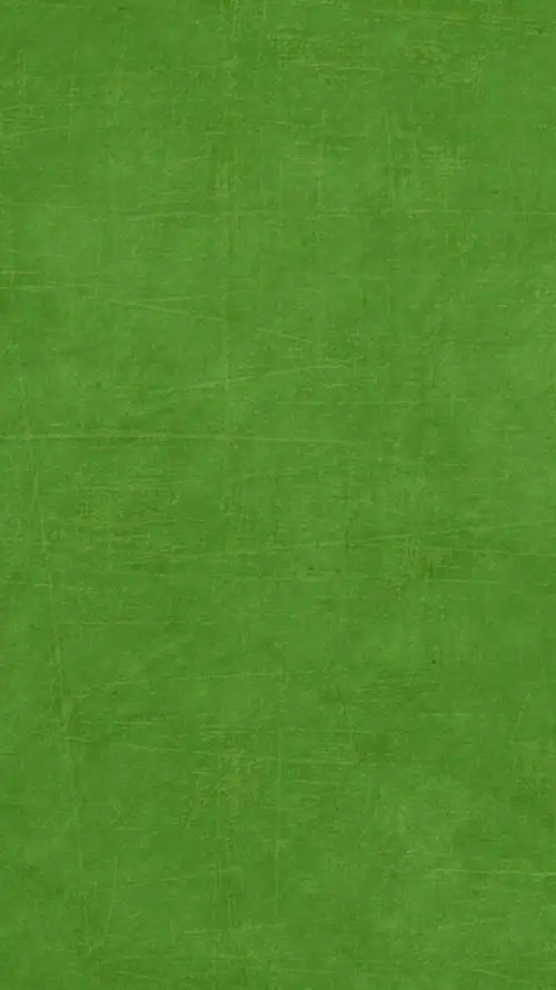 绿色简单平铺壁纸哟小白不小也不白