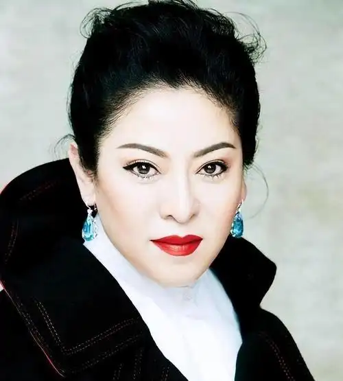 向华强背后的女人 陈岚身为"香港第一美女",没有看上其他富二代,反而