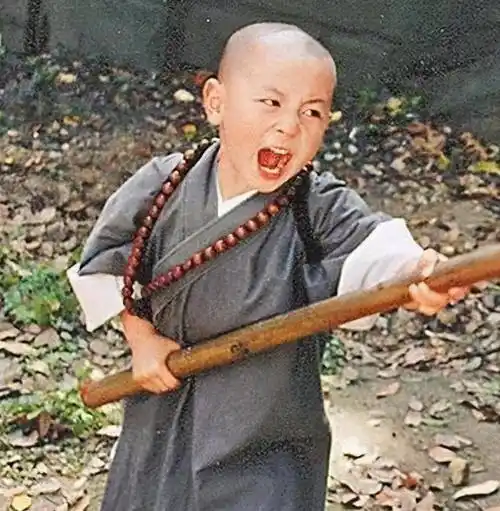 2岁练功5岁成名,当家里6年"摇钱树"的释小龙为什么红不起来