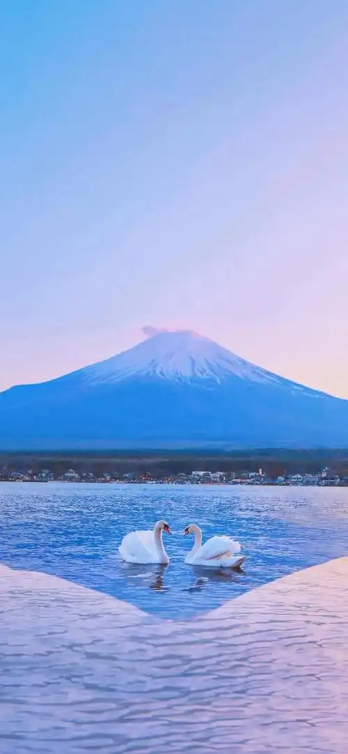 超火壁纸精选抖音壁纸部分粉丝求图