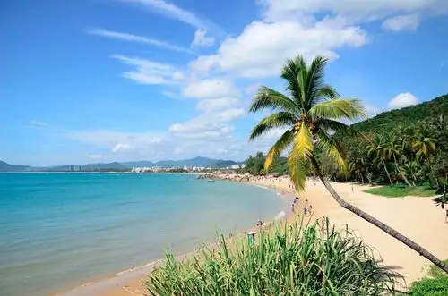 这里有我们看到海南椰子,三亚的大海沙滩美景