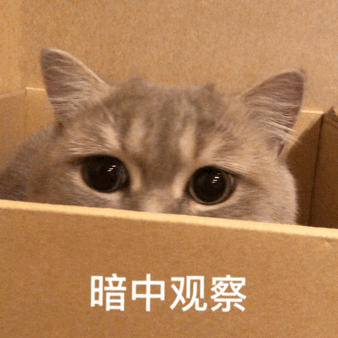 是打算趁此机会上位吗