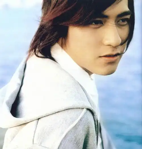 周渝民 vic chou的图片