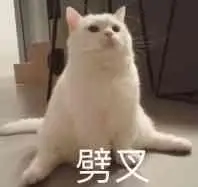 劈叉_劈叉表情