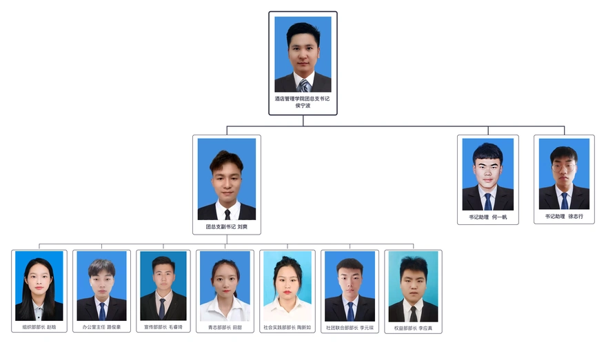 团总支组织机构图