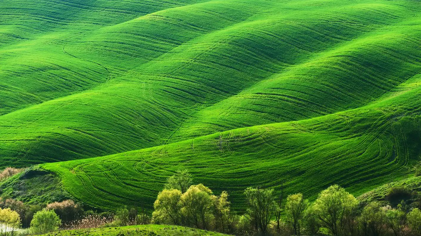 好看的桌面壁纸_电脑桌面壁纸软件-上犹电脑信息网
