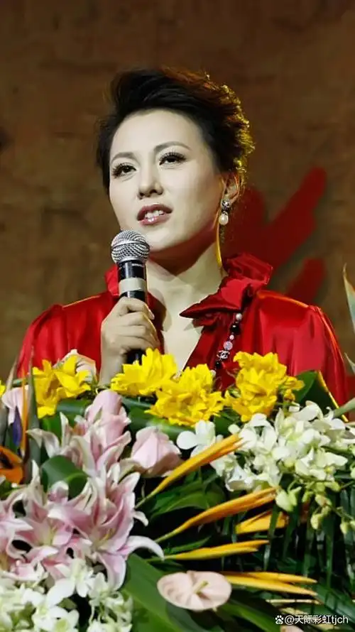 梦桐,中央电视台中文国际频道女主播