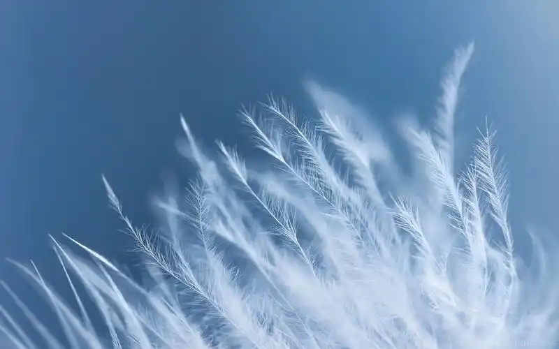 4k高清壁纸.你值得拥有 - matebook x pro 花粉俱乐部