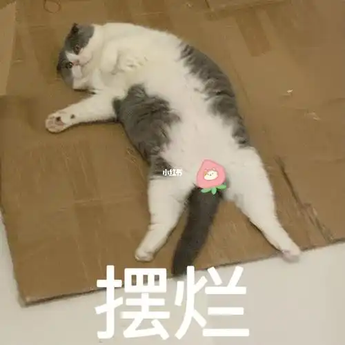 就这样吧摊牌了