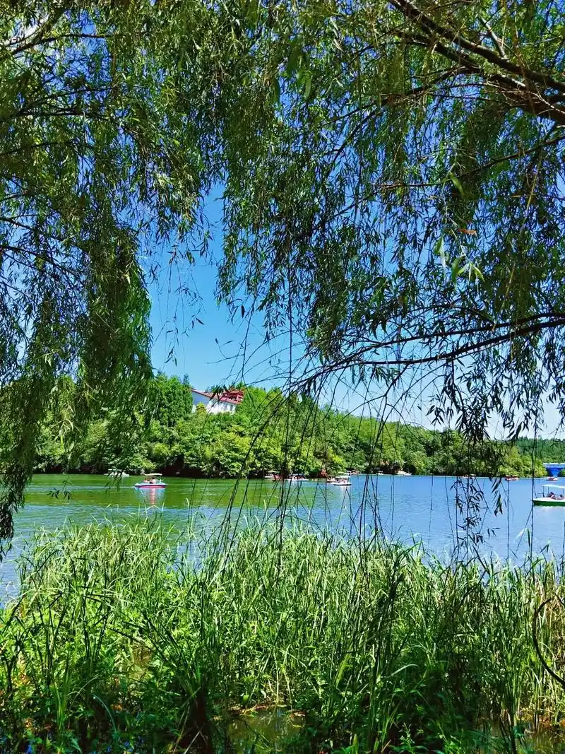 黄水月亮湖##只有照片能记录这份珍贵  - 抖音