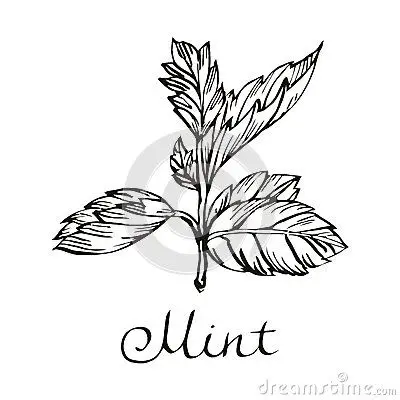 简笔画 设计 矢量 矢量图 手绘 素材 线稿 400400