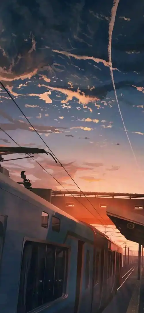 以上图片转自网络,版权归原作者所有,如有侵权请联系删除!