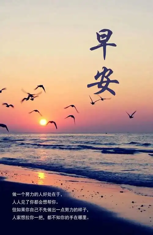 「2021.11.19」早安心语,正能量暖心说说句子,励志语录唯美图片