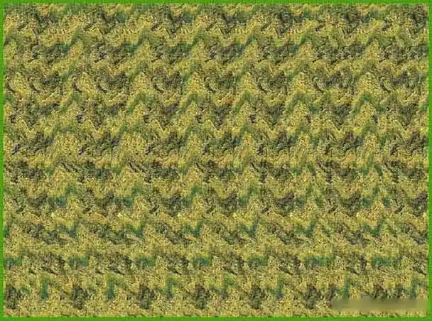 只有不到20%的人能看出来的裸眼3d立体图