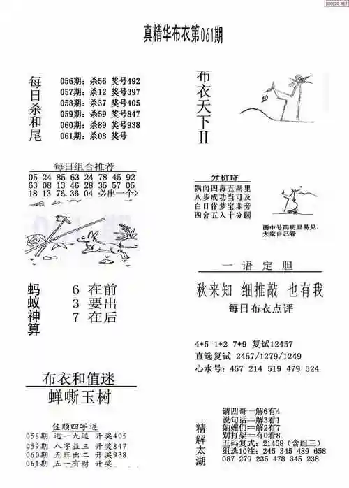 2025年061期精华布衣3d全图