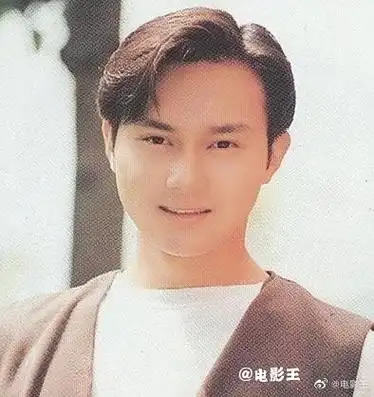 张智霖1993年美图